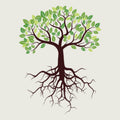 Functional Medicine Followup Appointments