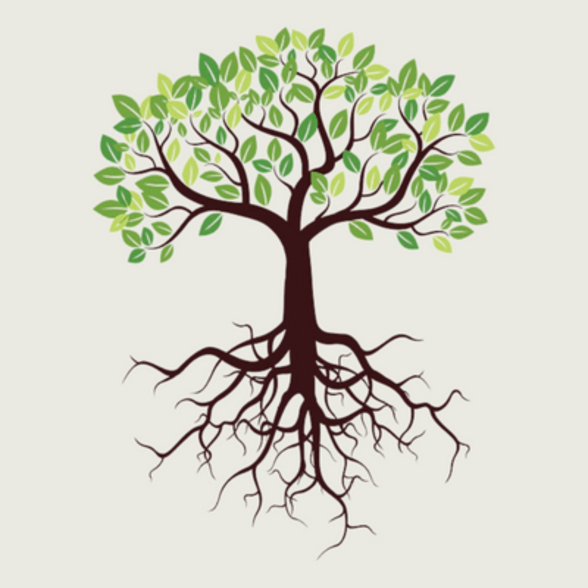 Functional Medicine Followup Appointments