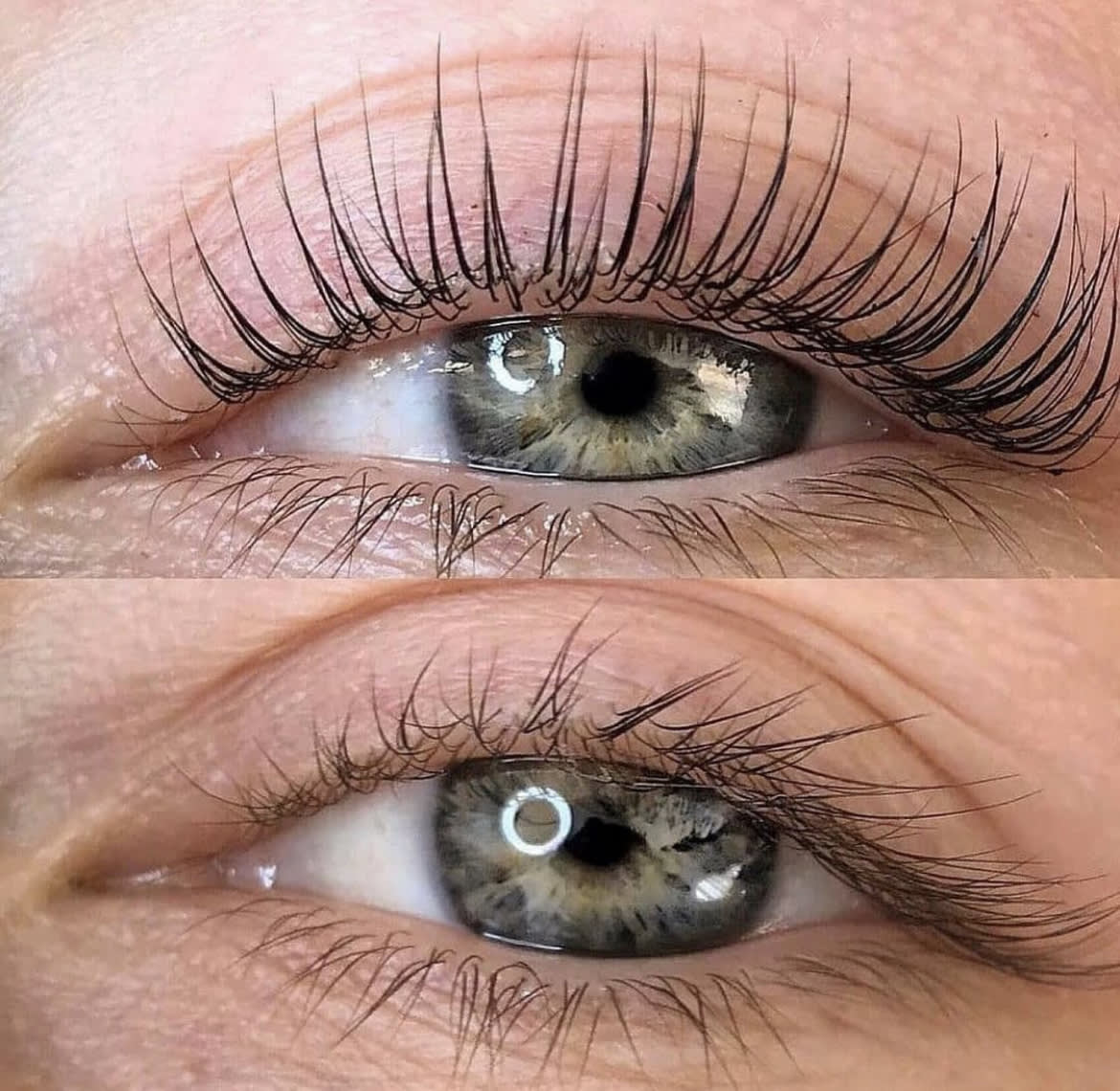 Lash Lift + Tint